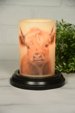 Load image into Gallery viewer, Beau Highland Cow LastingLite