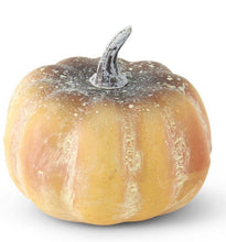 Load image into Gallery viewer, Bag of Six Mini Colored Pumpkins