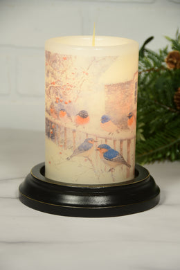 Cottage Snowy Birds LastingLite Sleeve