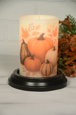 Fall Pumpkins & Gourds LastingLite Sleeve