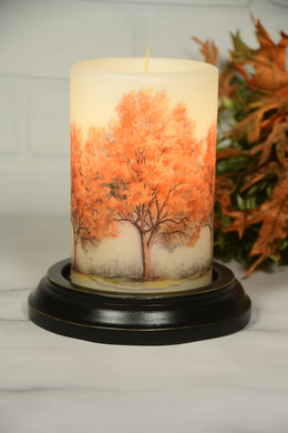 Fall Tree Trio LastingLite Sleeve