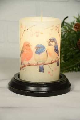 Snowy Bird Trio LastingLite Sleeve