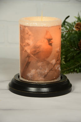 Vintage Winter Cardinal LastingLite Sleeve